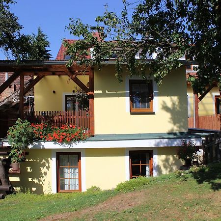 Apartament Penzion Gomelska Horní Stropnice Zewnętrze zdjęcie