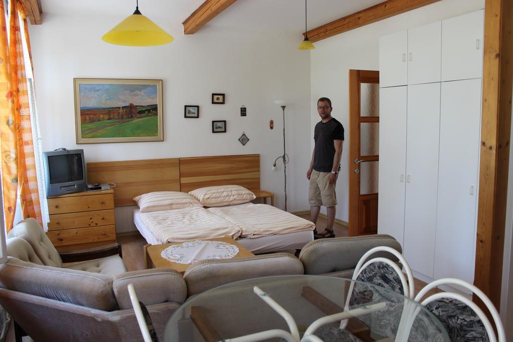 Apartament Penzion Gomelska Horní Stropnice Zewnętrze zdjęcie