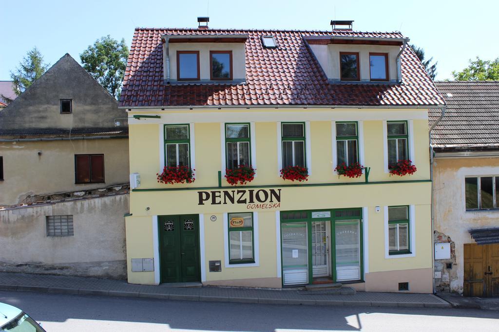 Apartament Penzion Gomelska Horní Stropnice Zewnętrze zdjęcie